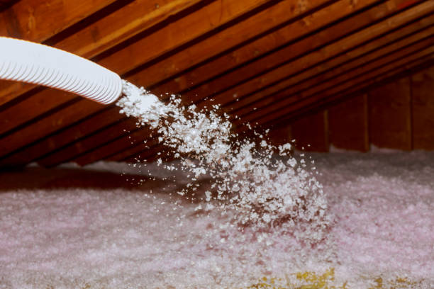 Best Garage Insulation Installation  in Progreso, TX