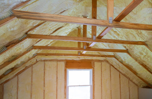 Best Insulation Contractors for Homes  in Progreso, TX