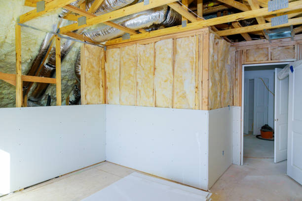 Best Spray Foam Insulation  in Progreso, TX