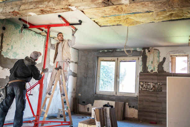 Best Insulation for New Construction  in Progreso, TX