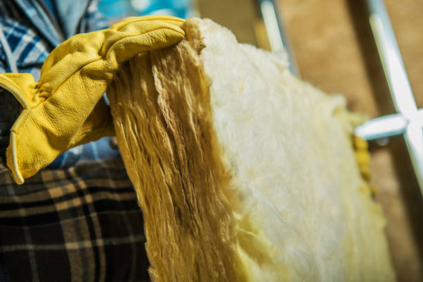 Best Energy-efficient Insulation  in Progreso, TX