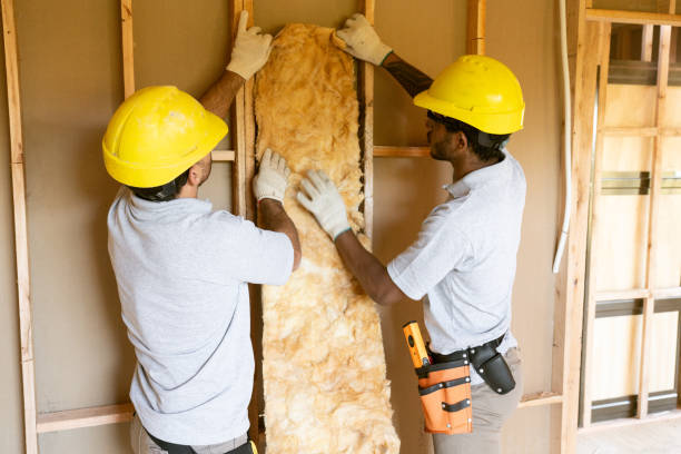 Insulation Repair Services in Progreso, TX