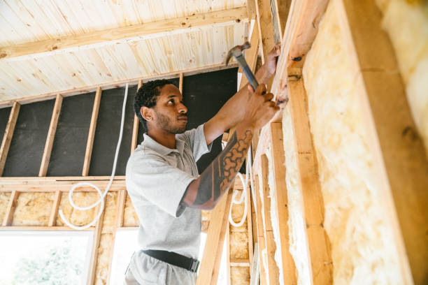 Best Attic Insulation Installation  in Progreso, TX