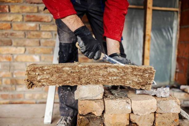 Best Cellulose Insulation  in Progreso, TX