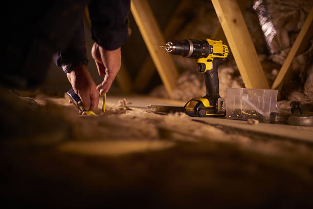 Best Insulation Replacement Services  in Progreso, TX