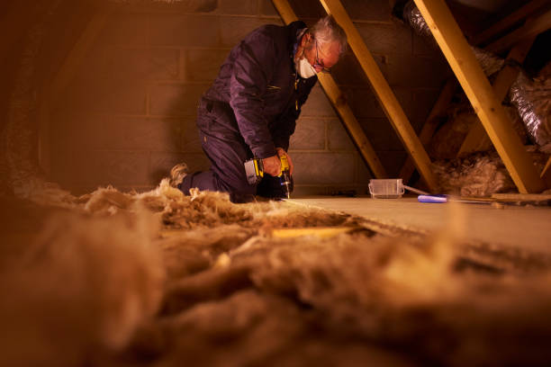 Soundproof Insulation Installation in Progreso, TX